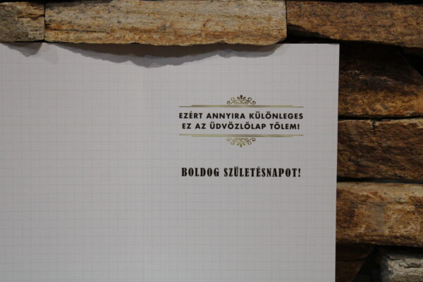 Képeslap Eljött a Szülinapod földgömbös férfiaknak - Image 2