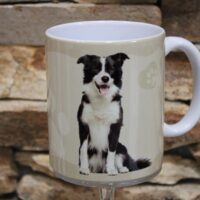 bögre kutyás (border collie)