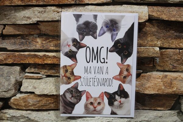 képeslap cicás (szülinap)