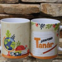 bögre legjobb tanár (ballagás)