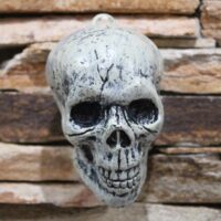 koponya 12x12 cm (halloween)