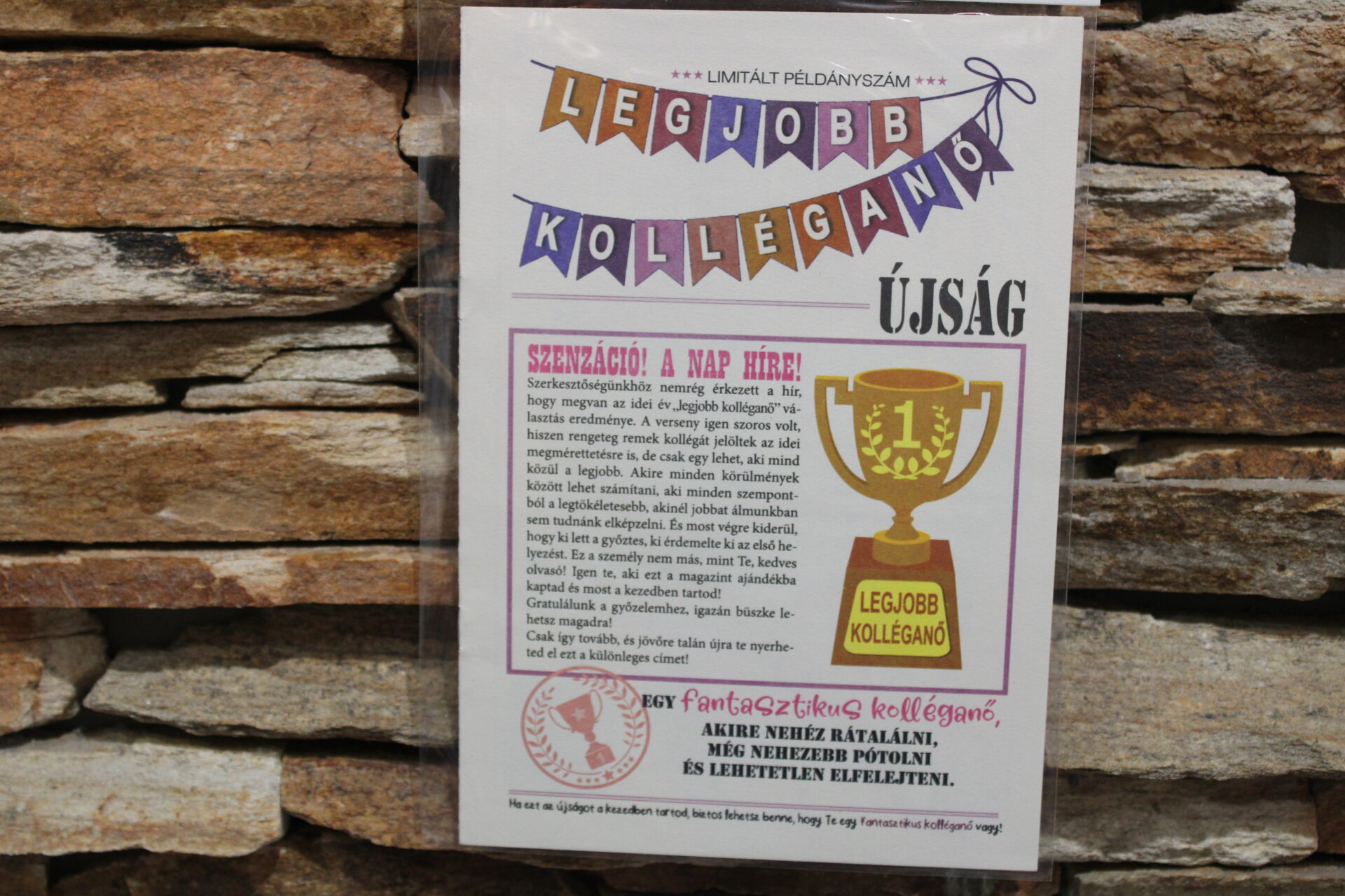 alkalmi újság legjobb kolléganő