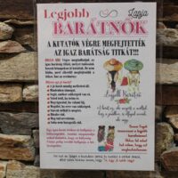 alkalmi újság legjobb barátnők lapja 