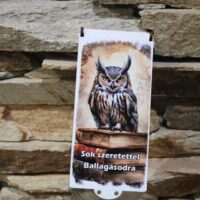 ballagási pénzátadó doboz fehér bagollyal és könyv mintával – „sok szeretettel ballagásodra”