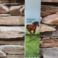 ballagási emlékszalag lovas mintával és idézettel