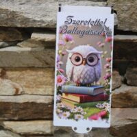 ballagási pénzátadó doboz bagollyal és könyvekkel – „szeretettel ballagásodra”