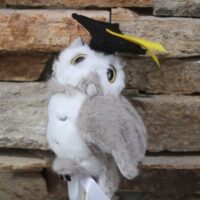 ballagási bagoly betűző szürke színben talársapkával