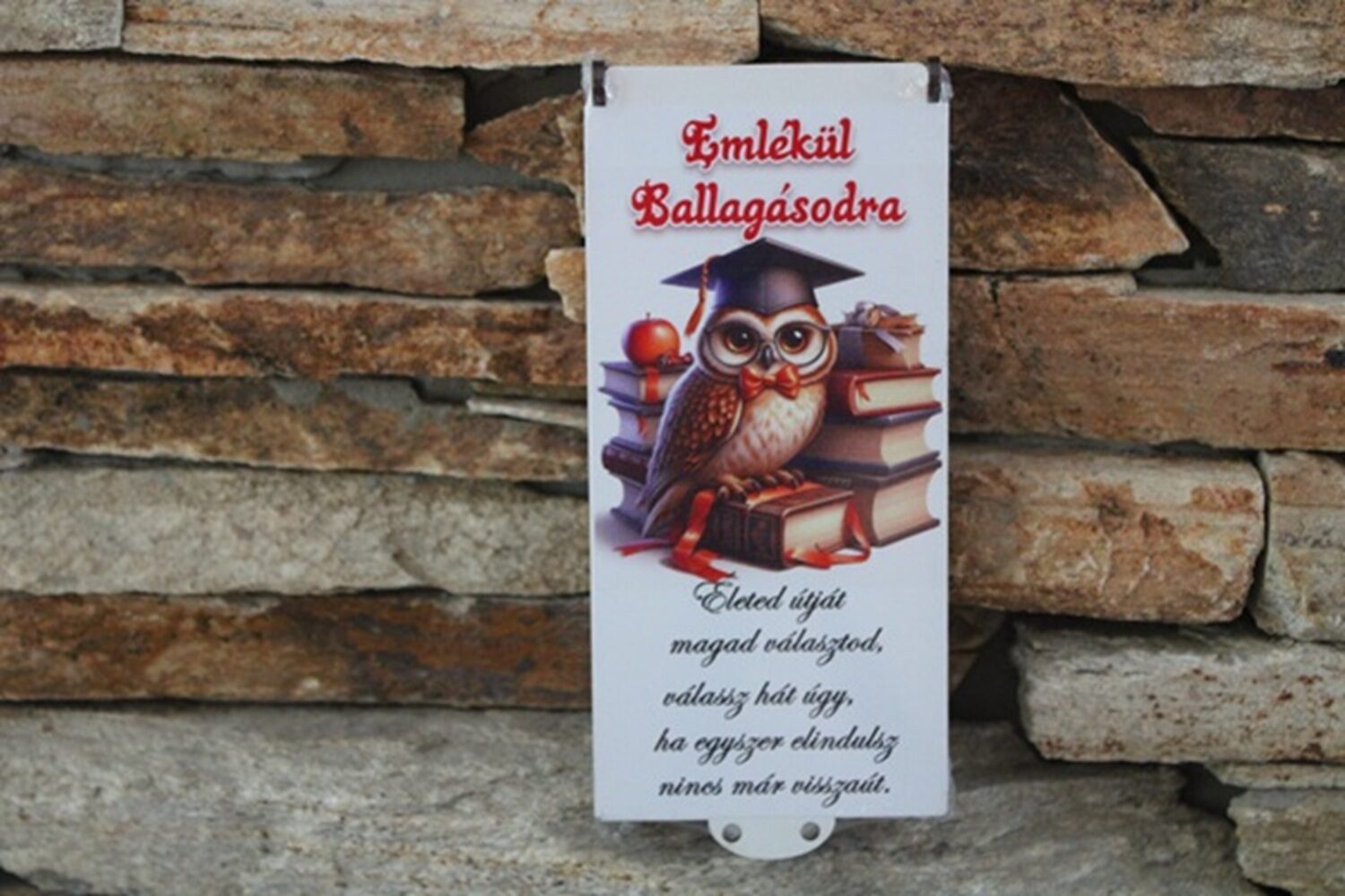 ballagási pénzátadó – emlékül ballagásodra, baglyos könyves mintával