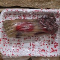 véres levágott láb műanyag tálcán – halloween horror dekoráció | partyballon