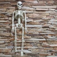 csontváz soma 100 cm – mozgatható halloween csontváz dekoráció | partyballon